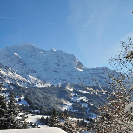 Apartment Central By Interhome Wengen Zewnętrze zdjęcie