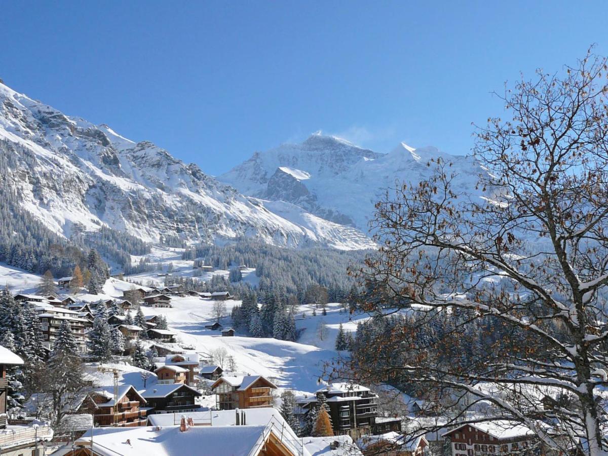 Apartment Central By Interhome Wengen Zewnętrze zdjęcie